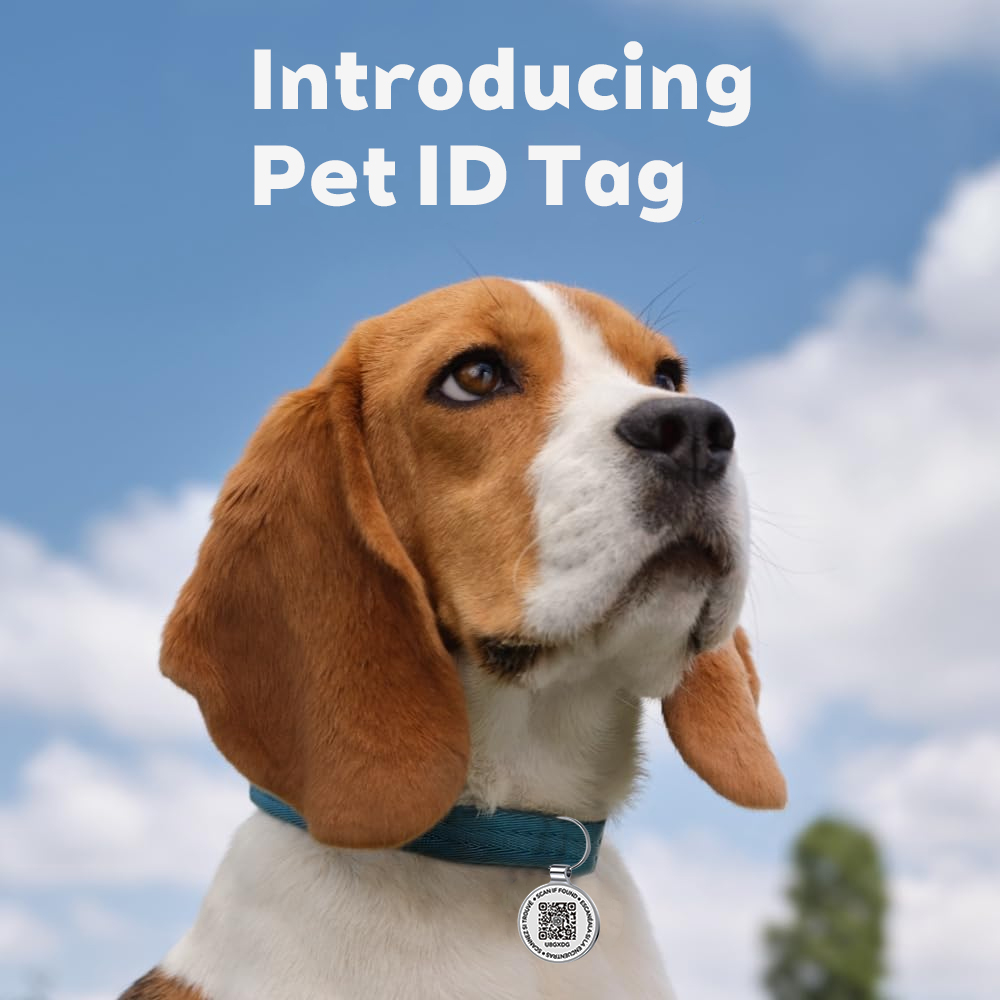 Etiqueta de Identificação QR p - Pet Supplies Online avaliação e preço