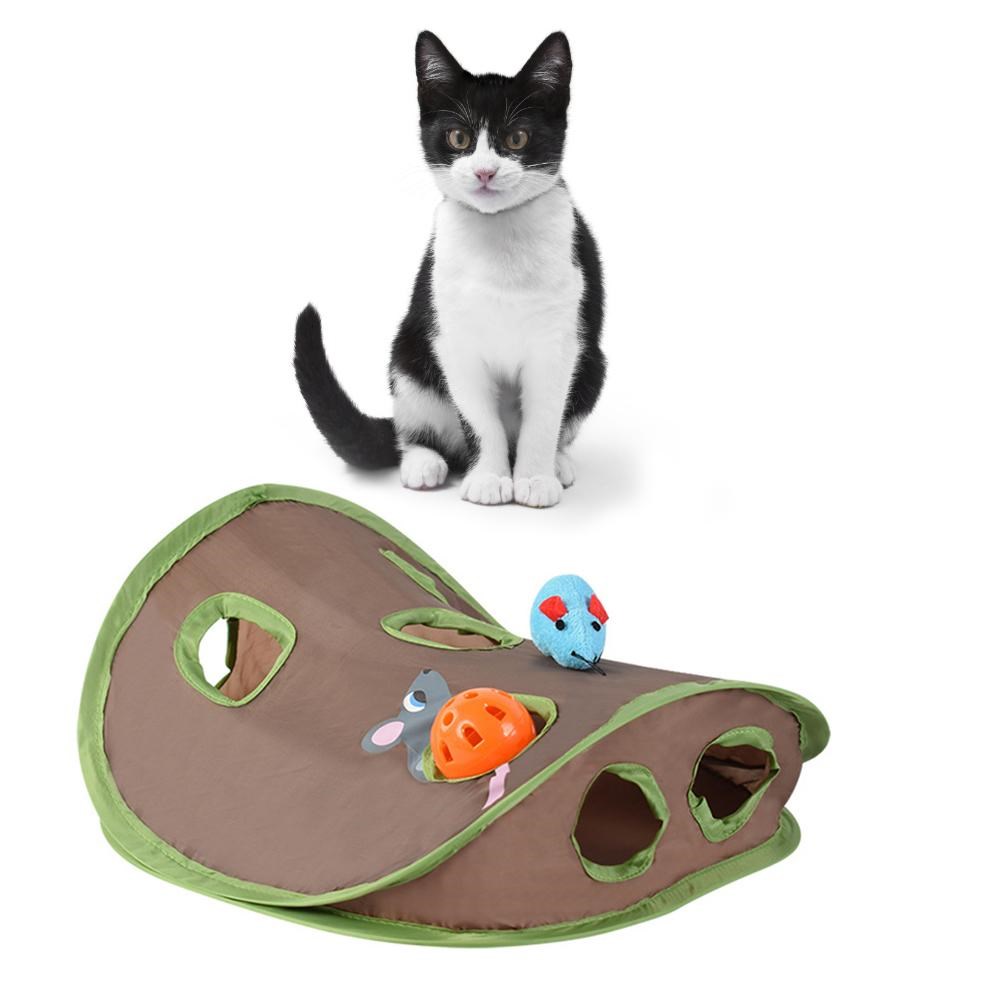 Bonito gato de estimação inter - Pet Supplies Online avaliação e preço