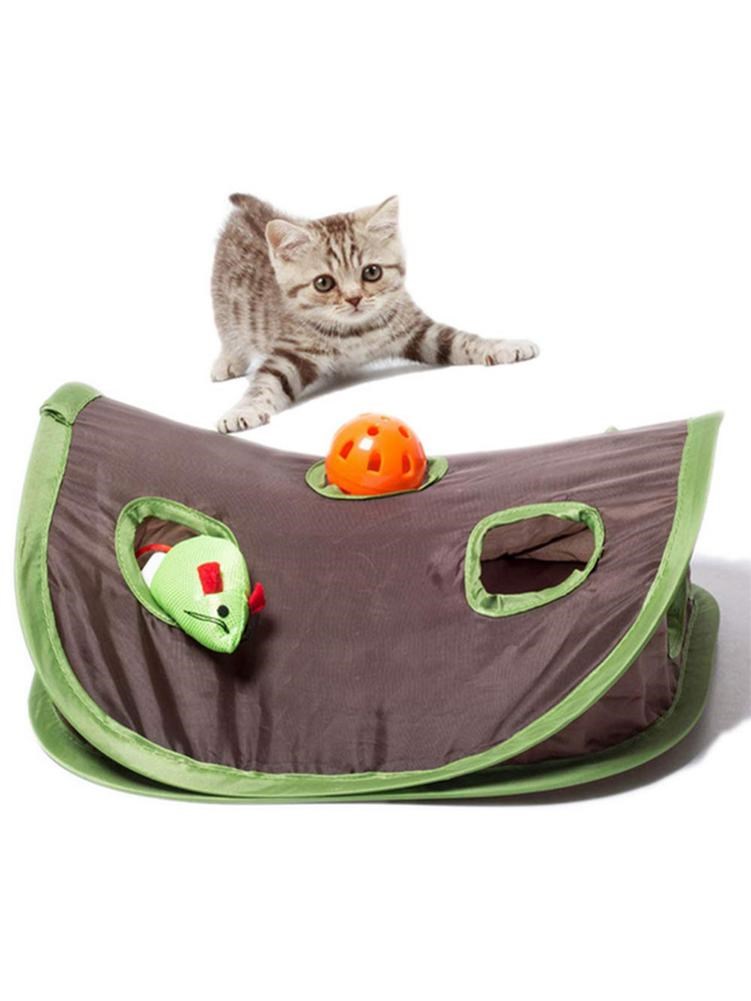 Bonito gato de estimação inter - Pet Supplies Online avaliação e preço